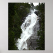 Canadian Landscape West Coast Forest Art Print (Voorkant)