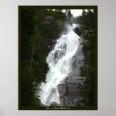Canadian Landscape West Coast Forest Art Print (Voorkant)