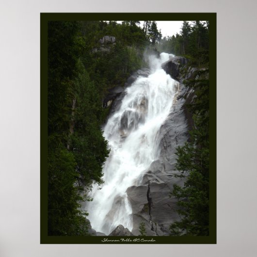 Canadian Landscape West Coast Forest Art Print (Voorkant)
