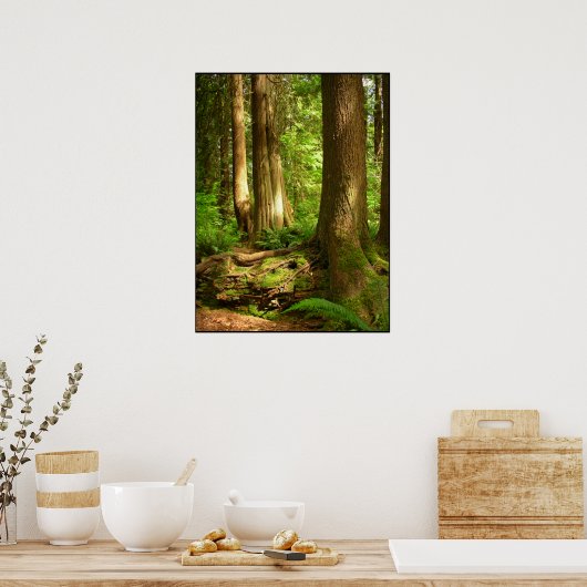 Canadian Landscape West Coast Forest Art Print (Keuken)