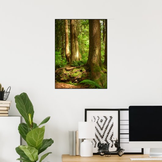 Canadian Landscape West Coast Forest Art Print (Thuiskantoor)