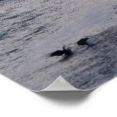 Canadian Landscape West Coast Forest Art Print (Hoek)