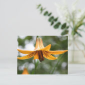 Canadian Lily Flower Photography Personalized Briefkaart (Staand voorkant)
