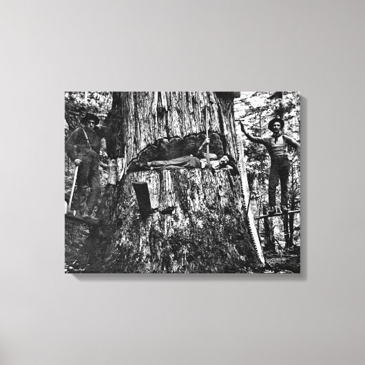 CANADIAN LOGGERS C. 1890 CANVAS AFDRUK (Voorkant)