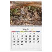 Canadian Lynx 4200e, Canadian Lynx Kalender (Mar 2026)