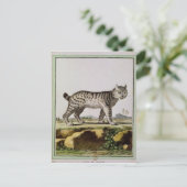 Canadian Lynx Briefkaart (Staand voorkant)