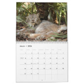 Canadian Lynx Calendar, Canadian Lynx Kalender (Mar 2026)