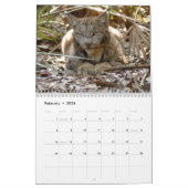 Canadian Lynx Calendar, Canadian Lynx Kalender (Feb 2026)