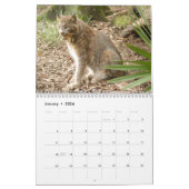 Canadian Lynx Calendar, Canadian Lynx Kalender (Jan 2026)