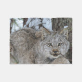 Canadian Lynx Fleece Blanket Deken (Voorkant (Horizontaal))