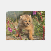 Canadian Lynx Kitten, Alaska Fleece Deken (Voorkant (Horizontaal))