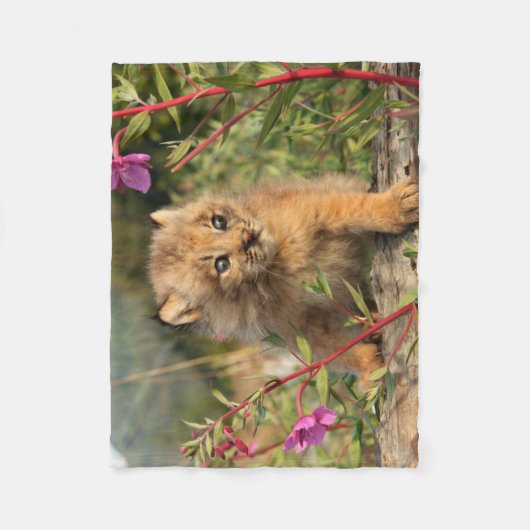 Canadian Lynx Kitten, Alaska Fleece Deken (Voorkant)