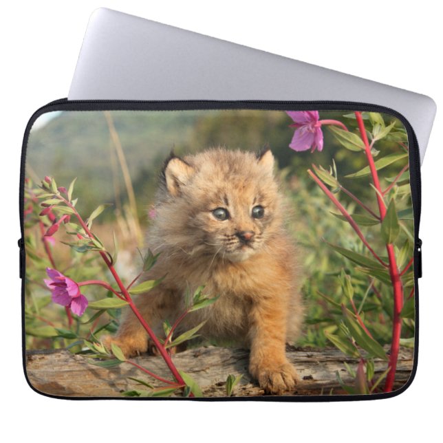 Canadian Lynx Kitten, Alaska Laptop Sleeve (Voorkant)