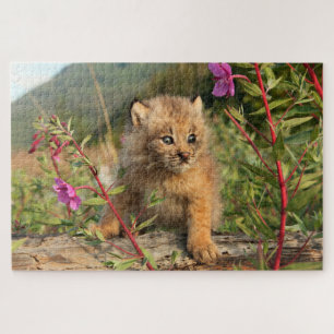 Canadian Lynx Kitten, Alaska Legpuzzel