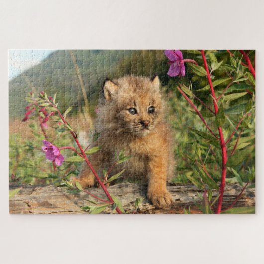 Canadian Lynx Kitten, Alaska Legpuzzel (Horizontaal)