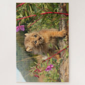 Canadian Lynx Kitten, Alaska Legpuzzel (Verticaal)