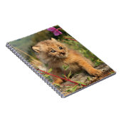 Canadian Lynx Kitten, Alaska Notitieboek (Rechterzijde)