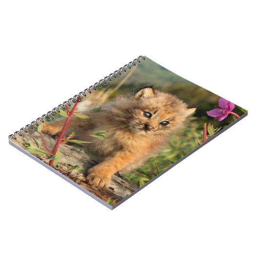 Canadian Lynx Kitten, Alaska Notitieboek (Linkerzijde)