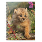 Canadian Lynx Kitten, Alaska Notitieboek (Voorkant)