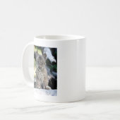 Canadian Lynx Kitten Koffiemok (Voorkant links)