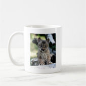 Canadian Lynx Kitten Koffiemok (Links)