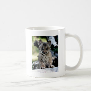 Canadian Lynx Kitten Koffiemok