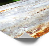 Canadian Lynx Kitten Poster (Hoek)