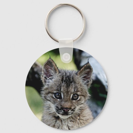Canadian Lynx Kitten Sleutelhanger (Voorkant)
