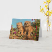Canadian Lynx Kittens, Alaska Kaart (Gele Bloem)