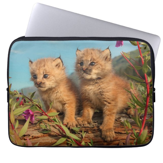 Canadian Lynx Kittens, Alaska Laptop Sleeve (Voorkant)