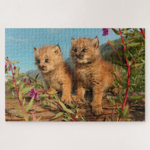 Canadian Lynx Kittens, Alaska Legpuzzel