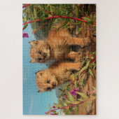 Canadian Lynx Kittens, Alaska Legpuzzel (Verticaal)