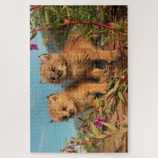 Canadian Lynx Kittens, Alaska Legpuzzel (Verticaal)