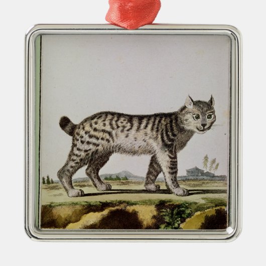 Canadian Lynx Metalen Ornament (Voorkant)
