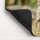 Canadian Lynx Muismat (Hoek)