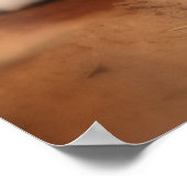 Canadian Lynx Poster (Hoek)