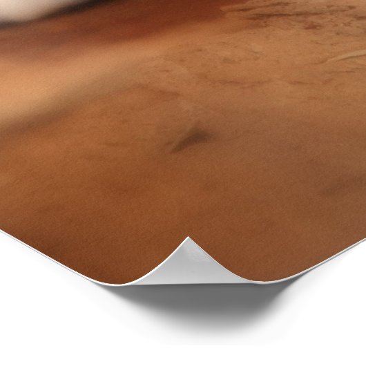 Canadian Lynx Poster (Hoek)