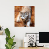 Canadian Lynx Poster (Thuiskantoor)