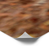 Canadian Lynx Poster (Hoek)