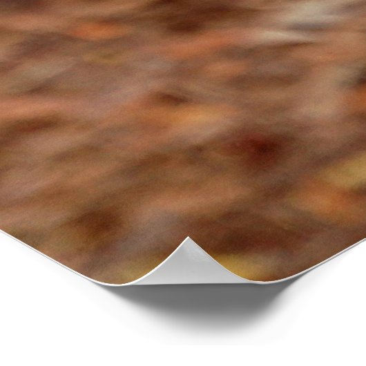 Canadian Lynx Poster (Hoek)