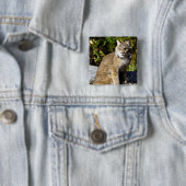 Canadian Lynx Vierkante Button 5,1 Cm (In situ)