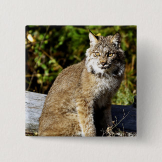 Canadian Lynx Vierkante Button 5,1 Cm