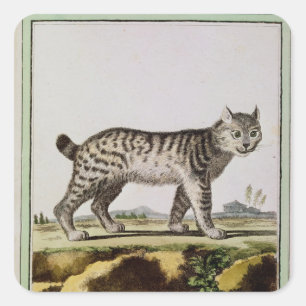 Canadian Lynx Vierkante Sticker