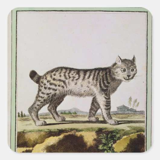 Canadian Lynx Vierkante Sticker (Voorkant)