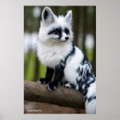 Canadian Marble Fox Poster (Voorkant)