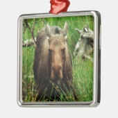 Canadian Moose Metalen Ornament (Links)