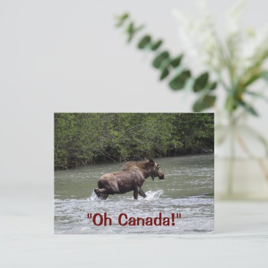 Canadian Moose Wildlife Animal Briefkaart (Staand voorkant)