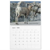 Canadian Rockies Photographic 12-Month 2026  Kalender (Mar 2026)