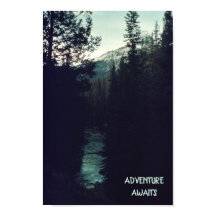 Canadian Rockies Pine Wilderness