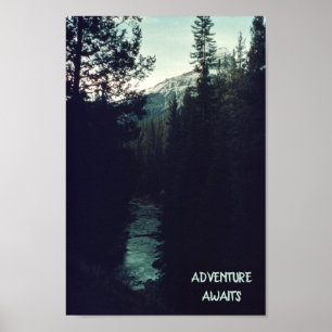 Canadian Rockies Pine Wilderness Poster